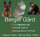 Berger G�rd Hundepensjonat og Kattehotell, Kattepensjonat Aremark