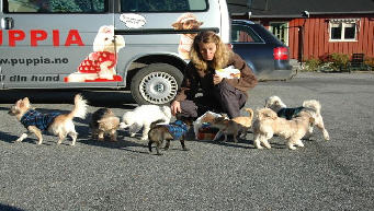 Dr�bak Hundepensjonat
