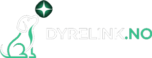 Dyrelink Logo - Dog Looking Up At Star