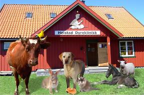 Heistad Dyreklinikk&nbsp; 