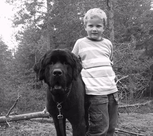 Kesaragis kennel og hundepensjonat Mysen �stfold