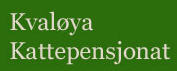 Kval�ya Kattepensjonat 