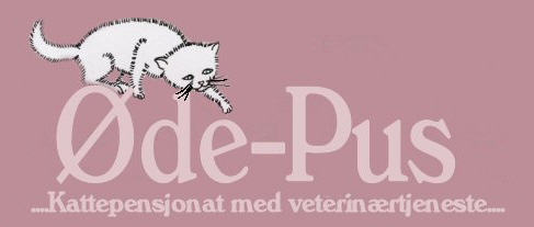 �de Pus Kattepensjonat