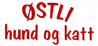 �stli kattepensjonat