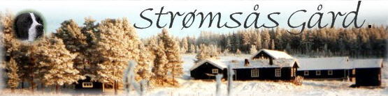 Str�ms�s Hundepensjonat